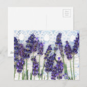 lavendel achtergrond briefkaart (Voorkant / Achterkant)