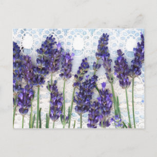 lavendel achtergrond briefkaart
