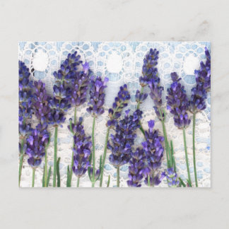 lavendel achtergrond briefkaart