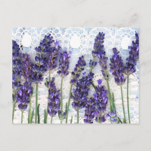 lavendel achtergrond briefkaart (Voorkant)