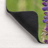 Lavendel Alaskaanse Lupines Muismat (Hoek)