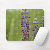 Lavendel Alaskaanse Lupines Muismat (Met muis)