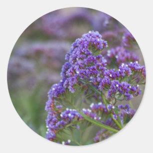 Lavendel bij de oceaan ronde sticker