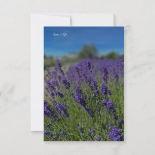 Lavendel & Blauwe luchten Notitiekaartje