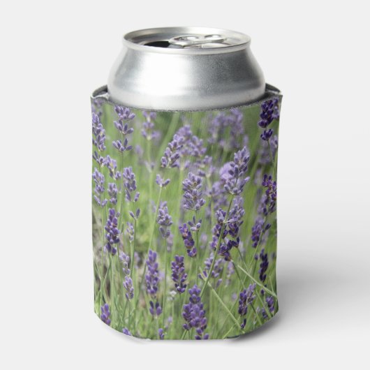 Lavendel Blikjeskoeler (Blikje Voorkant)