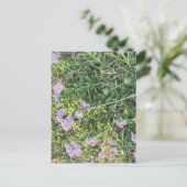 Lavendel bloeit tussen wilde weidegrassen briefkaart (Staand voorkant)