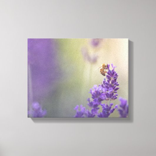 Lavendel Bloem Honingbij Natuur Foto Canvas Afdruk (Voorkant)