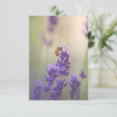 Lavendel Bloem Honingbij Natuur Foto Kaart (Staand voorkant)