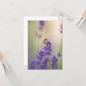 Lavendel Bloem Honingbij Natuur Foto Kaart (Voorkant / Achterkant in situ)
