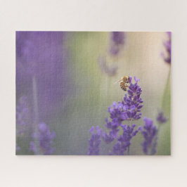 Lavendel Bloem Natuur Foto Legpuzzel