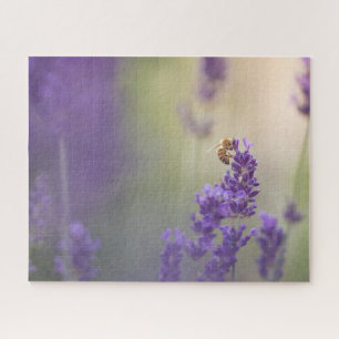 Lavendel Bloem Natuur Foto Legpuzzel