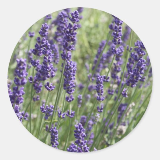 Lavendel Bloemen Stickers (Voorkant)
