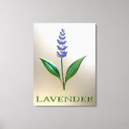 Lavendel Blume in glänzender Eleganz Canvas Afdruk