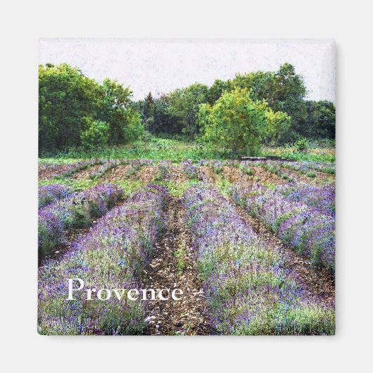 lavendel boerderij veld - Provence Magneet (Voorkant)