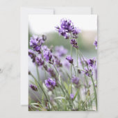 Lavendel Boheem Bruidsdouche Uitnodigingen (Achterkant)