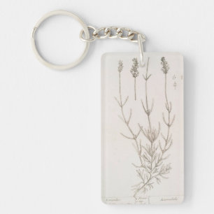 Lavendel botanische tekening sleutelhanger