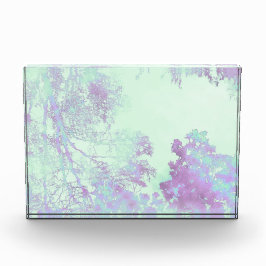 Lavendel Breedbladige Mist Fotoblokken