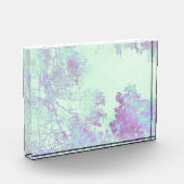 Lavendel Breedbladige Mist Fotoblokken (Links)