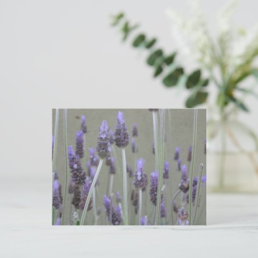 Lavendel Briefkaart (Staand voorkant)