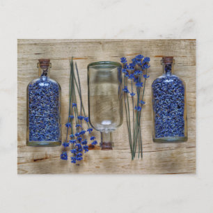 Lavendel Briefkaart