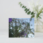 lavendel briefkaart (Staand voorkant)