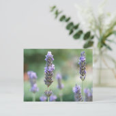 Lavendel Briefkaart (Staand voorkant)