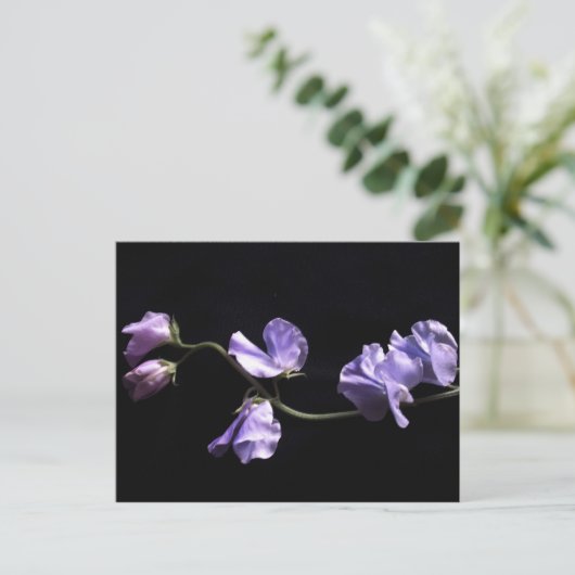 lavendel briefkaart (Staand voorkant)