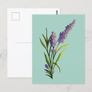 Lavendel Briefkaart