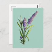 Lavendel Briefkaart (Voorkant / Achterkant)