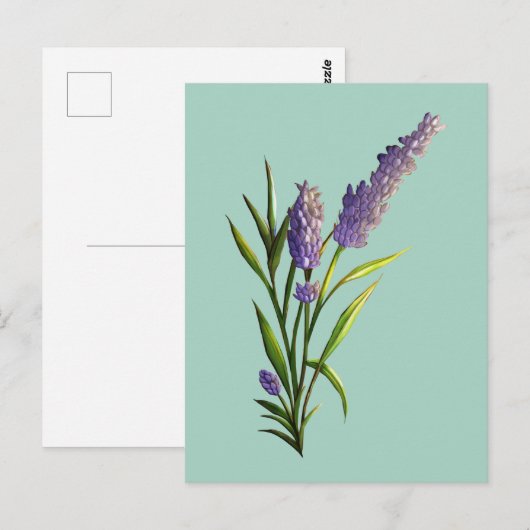 Lavendel Briefkaart (Voorkant / Achterkant)