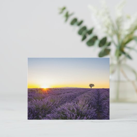 Lavendel Briefkaart (Staand voorkant)