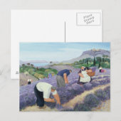 Lavendel Briefkaart (Voorkant / Achterkant)