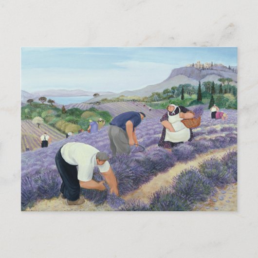 Lavendel Briefkaart (Voorkant)