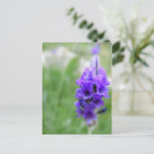 Lavendel Briefkaart (Staand voorkant)