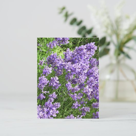 Lavendel Briefkaart (Staand voorkant)