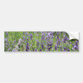 Lavendel Bumpersticker (Voorkant)