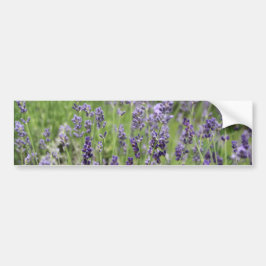 Lavendel Bumpersticker