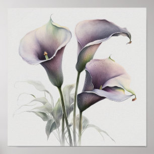 Lavendel Calla Lilies Lily Flower Art Print Poster