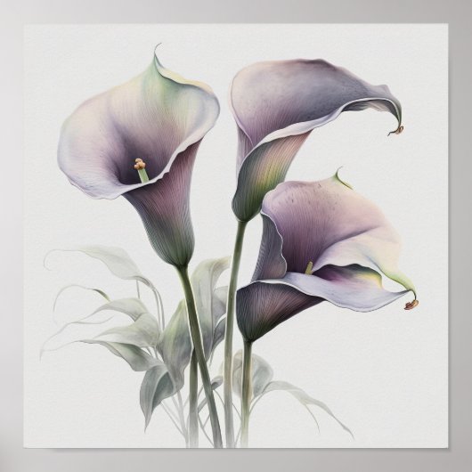 Lavendel Calla Lilies Lily Flower Art Print Poster (Voorkant)