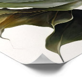 Lavendel Calla Lilies Lily Flower Art Print Poster (Hoek)
