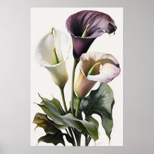 Lavendel Calla Lilies Lily Flower Art Print Poster