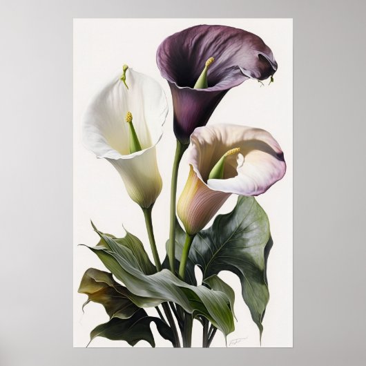 Lavendel Calla Lilies Lily Flower Art Print Poster (Voorkant)