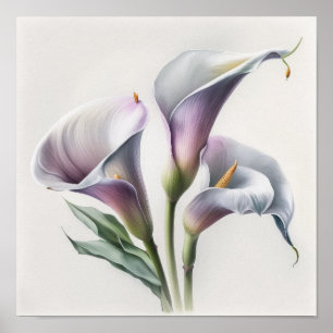 Lavendel Calla Lilies Lily Flower Art Print Poster