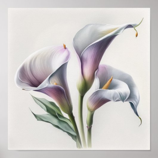 Lavendel Calla Lilies Lily Flower Art Print Poster (Voorkant)
