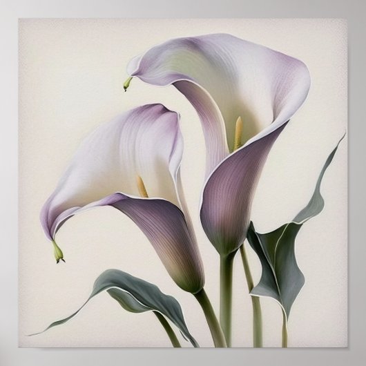 Lavendel Calla Lilies Lily Flower Art Print Poster (Voorkant)