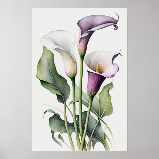 Lavendel Calla Lilies Lily Flower Art Print Poster (Voorkant)