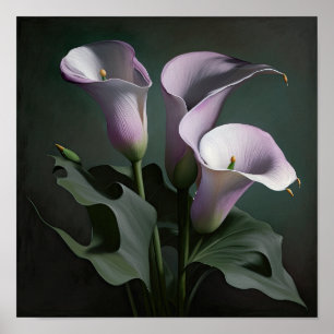 Lavendel Calla Lilies Lily Flower Art Print Poster