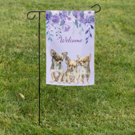 Lavendel Chihuahua Puppies Tuinvlag