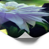 Lavendel Clematis Flower Trellis Mirror Abstract Poster (Hoek)