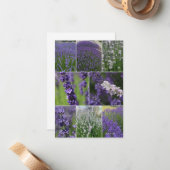 Lavendel Collage 2 Notitiekaartje (Voorkant / Achterkant in situ)